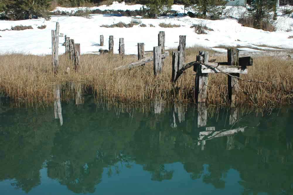 Argentina 097 - parque nacional Nahuel Huapi - lago Frias.jpg
